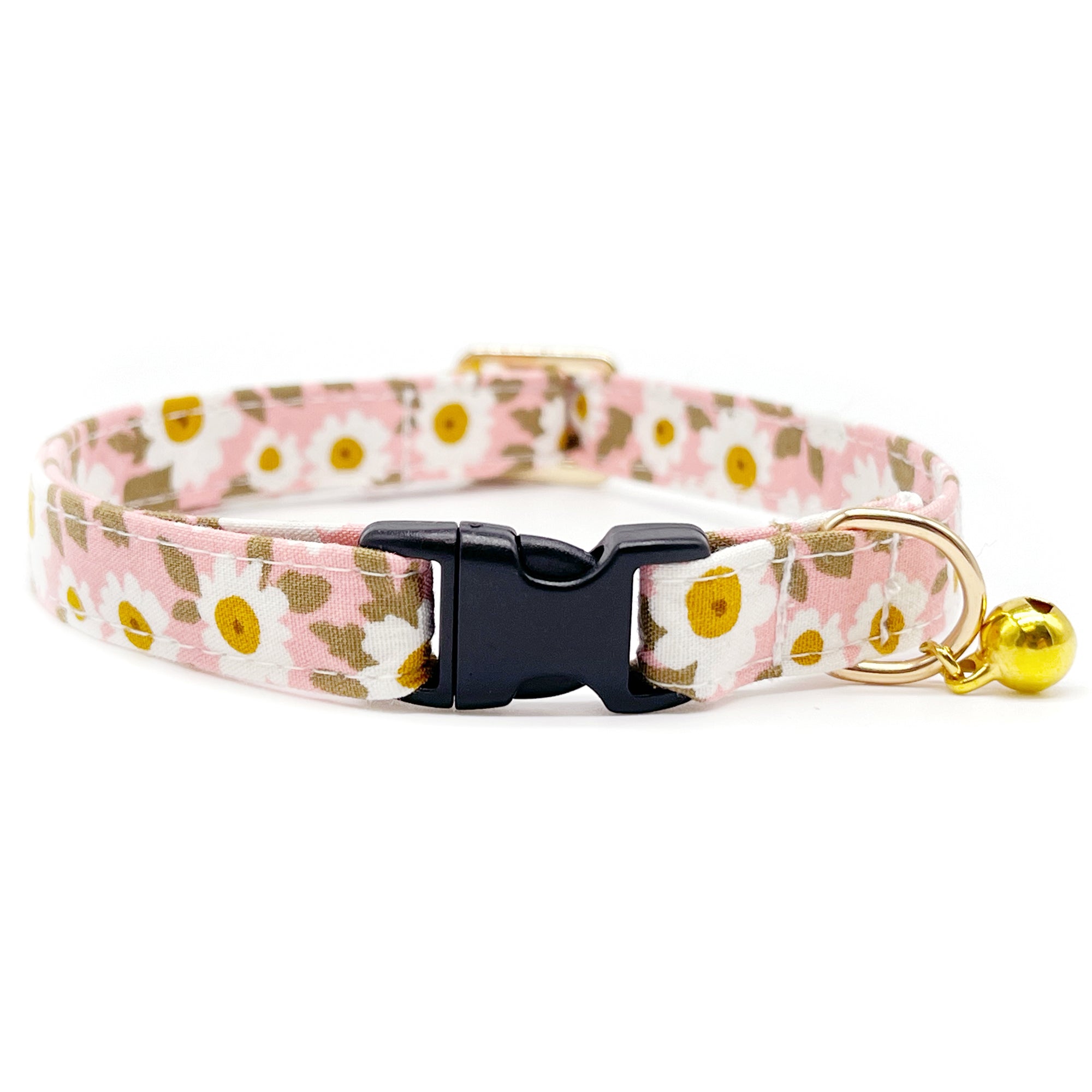 Non breakaway best sale cat collar